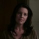 Andrea Parker ~ Desperate Housewives